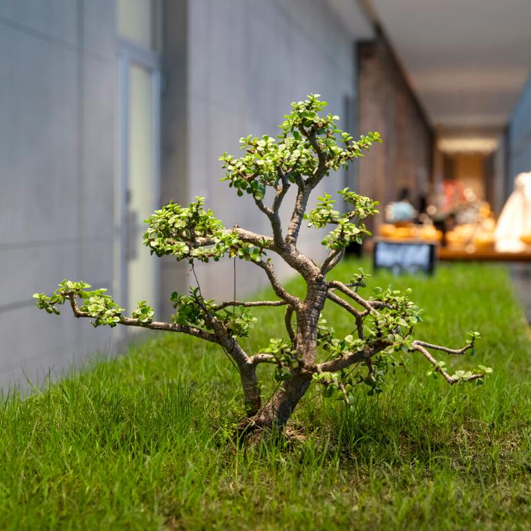 Installation view of Carlos Garaicoa exhibit at SCAD Museum