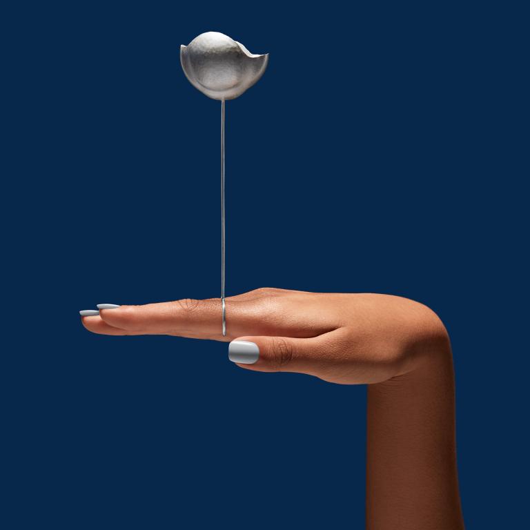 Signature image for Ring Redux exhibition