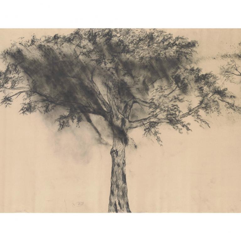signature image for Nohemi Perez exhibition