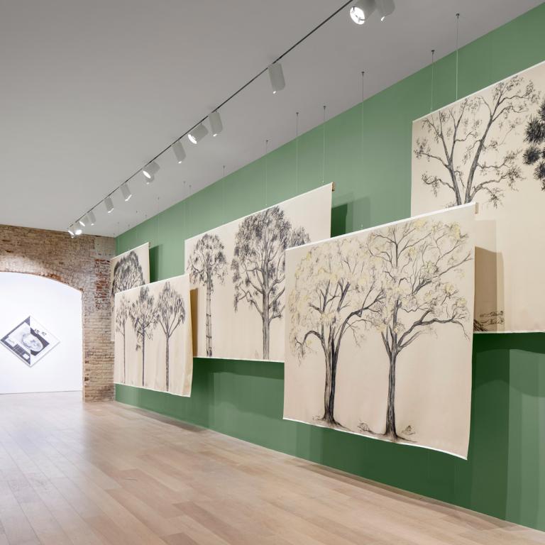 installation view of MoA gallery