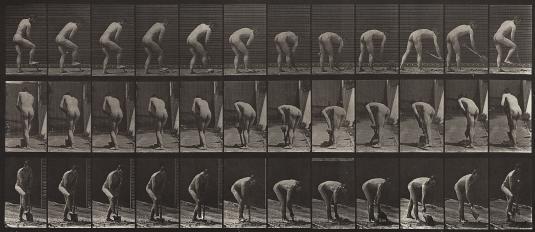 13.5" x 19.5" Collotype 1887