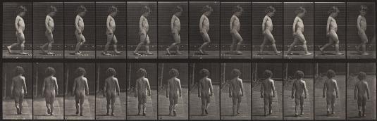 Animal Locomotion, Plate 467 | SCAD Museum of Art