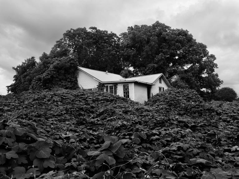 Alec Soth, "Near Gainesville, Georgia," archival pigment print, 2014. Commissioned by the SCAD Museum of Art. Image courtesy of the artist and Sean Kelly Gallery, New York.