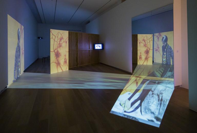 Viviane Sassen, "In and Out of Fashion," Feb. 18-May 4, SCAD Museum of Art, André Leon Talley Gallery. Presented as part of deFINE Art 2014. Photograph by John McKinnon. Courtesy of SCAD.