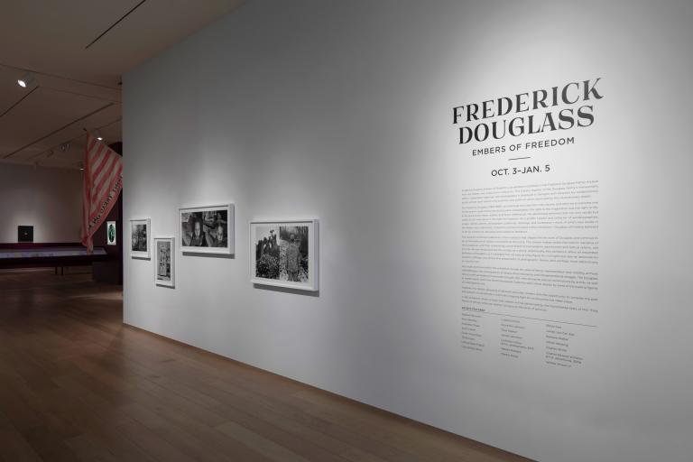 Installation view of "Frederick Douglass: Embers of Freedom"