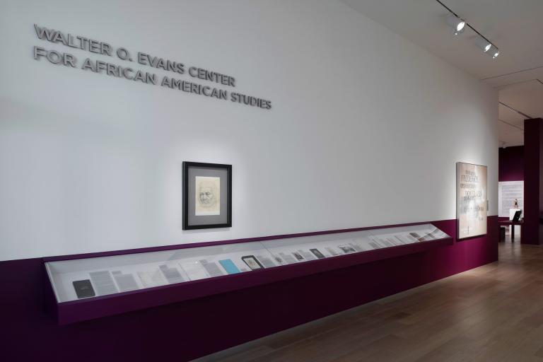 Installation view of "Frederick Douglass: Embers of Freedom"