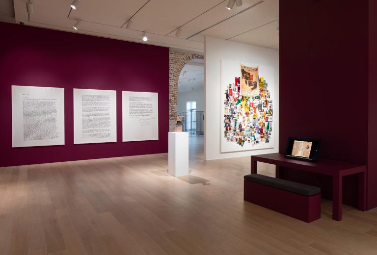 Installation view of "Frederick Douglass: Embers of Freedom"