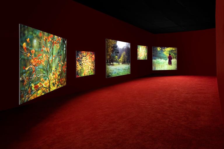Installation view of Isaac Julien exhibit