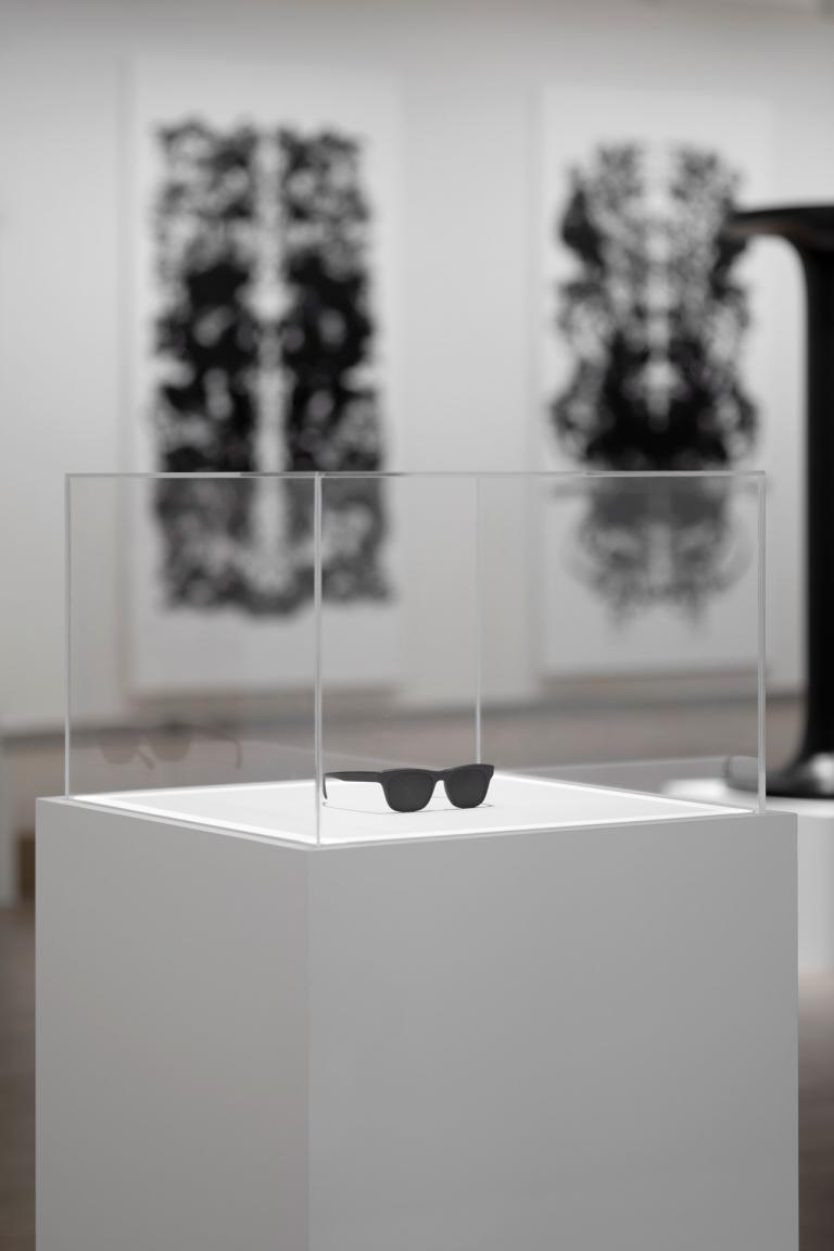 Installation view of Mark Wallinger exhibition at SCAD Museum of Art