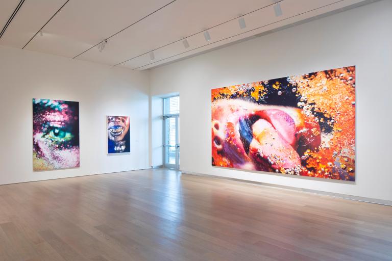 Installation views of Marilyn Minter exhibition at SCAD Museum of Art