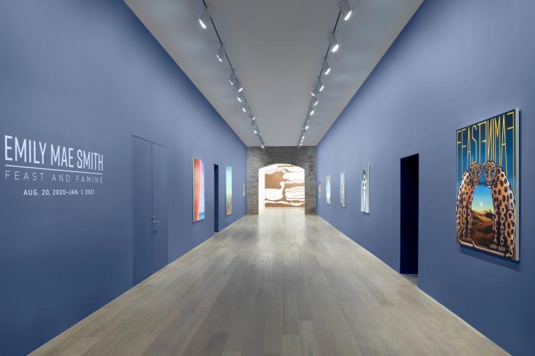Installation view of Emily Mae Smith exhibition