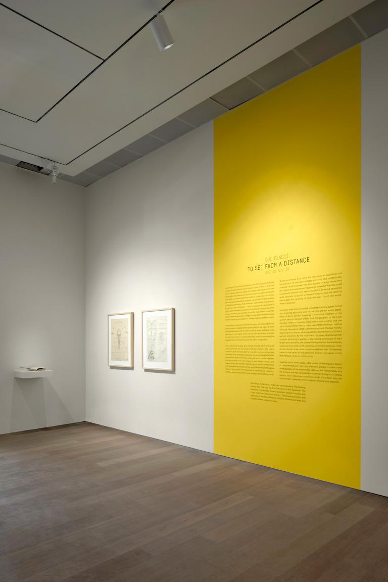 Installation view of Guo Fengyi exhibition