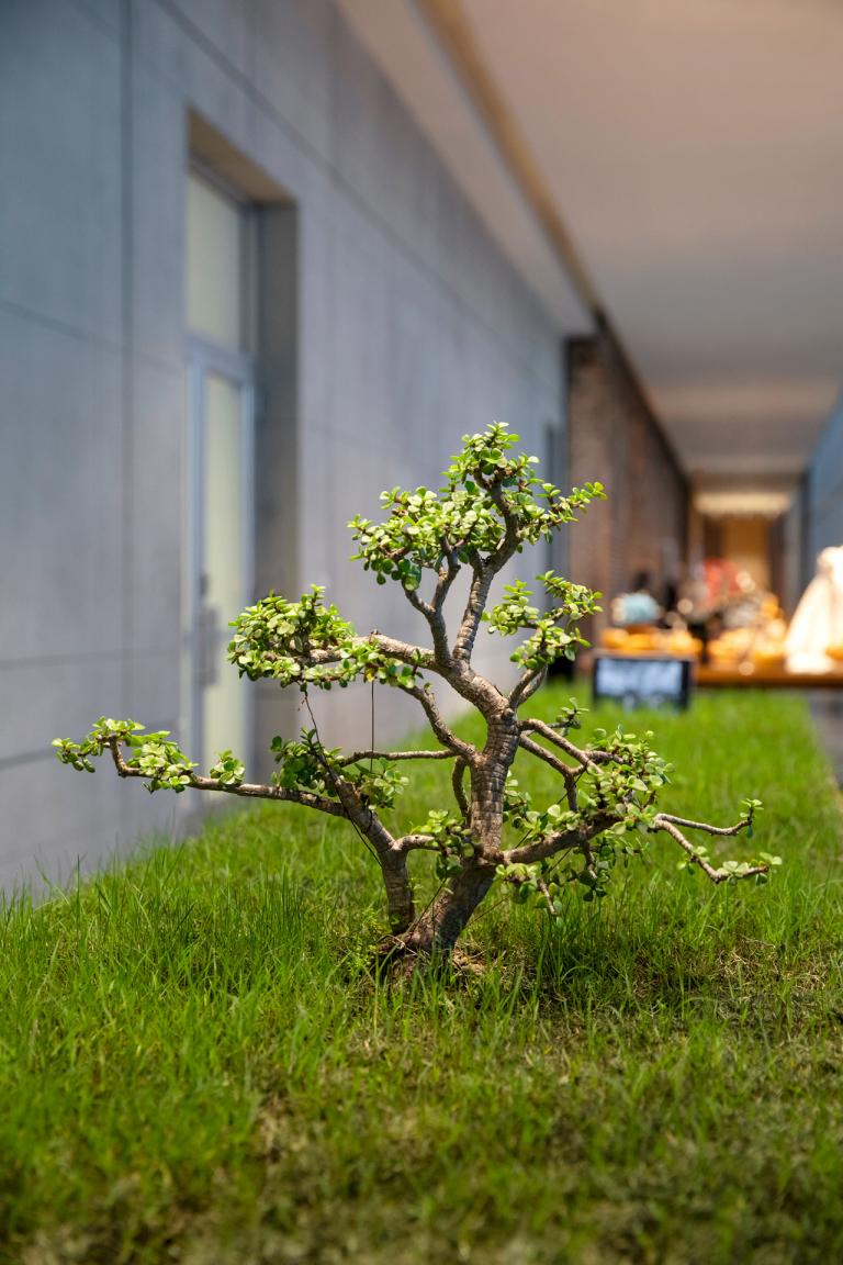 Installation views of Carlos Garaicoa exhibit at SCAD Museum