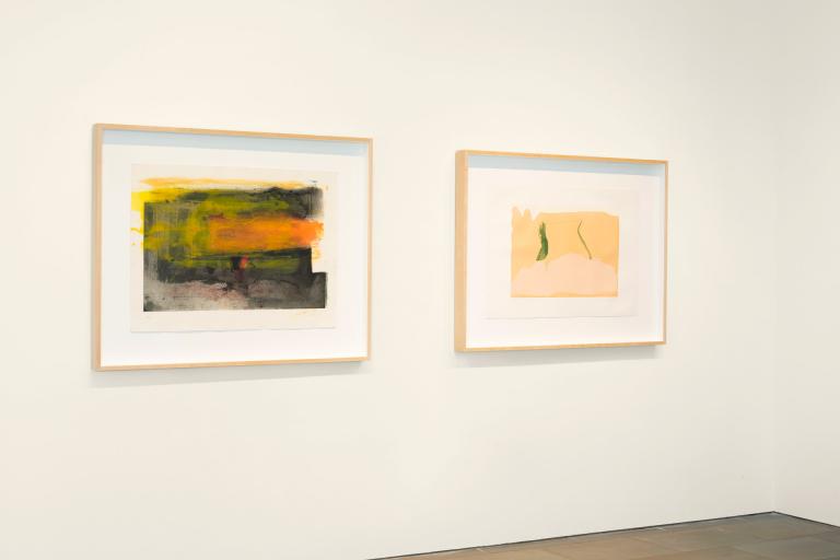 Installation view of Helen Frankenthaler exhibit