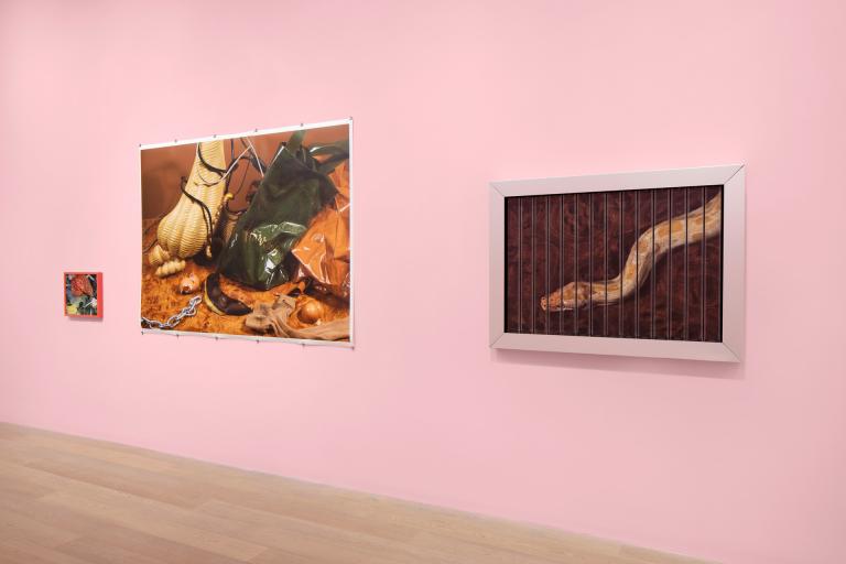 Installation images for "A Message from Venus" exhibition
