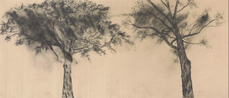 Nohemí Pérez, "Bosque No. 1 (Forest No. 1)," 2021, charcoal on canvas, 197 x 84 in. (500 x 213 cm). Courtesy of the artist and Instituto de Visión. Signature image for Nohemí Pérez exhibition