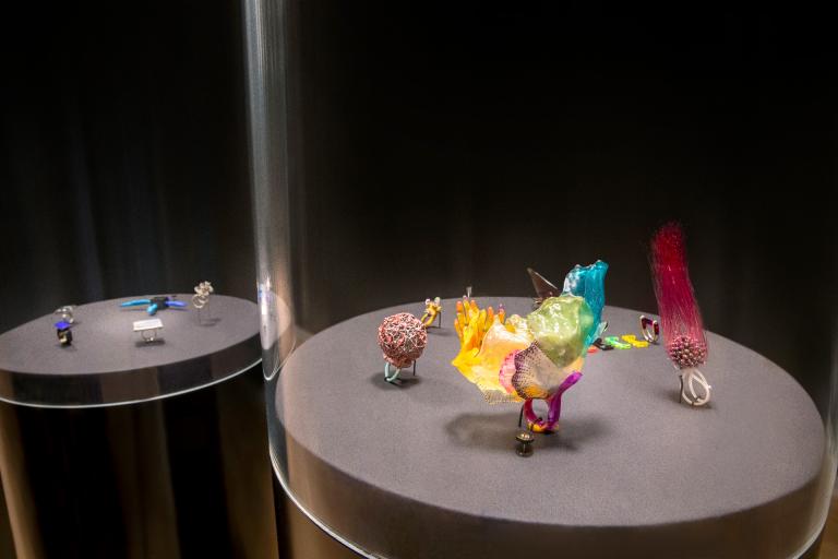 Installation view of "Ring Redux"