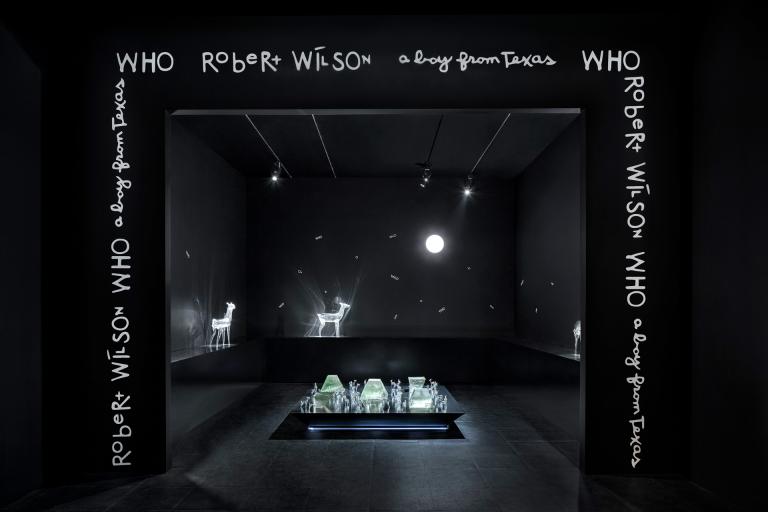 Installation view of "A Boy from Texas" 
