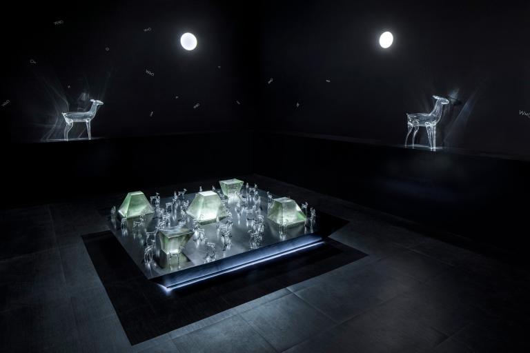 Installation view of "A Boy from Texas"