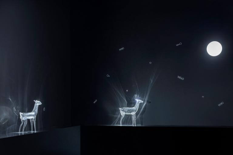 Installation view of "A Boy from Texas"