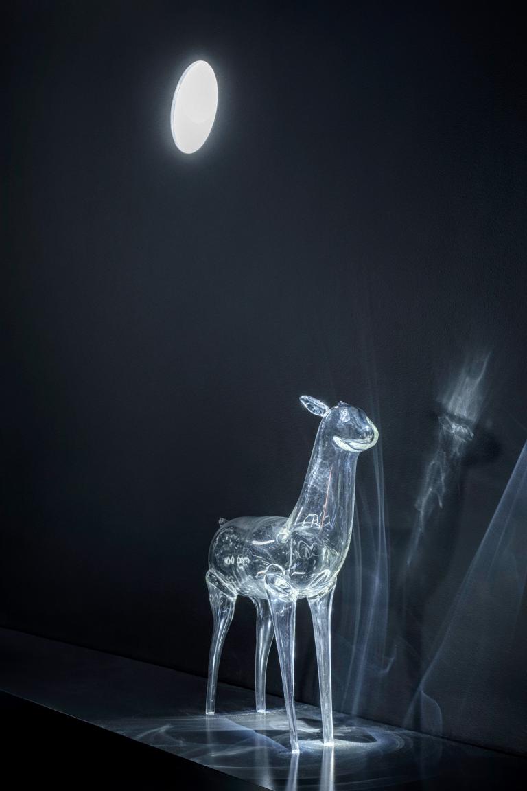 Installation view of "A Boy from Texas"
