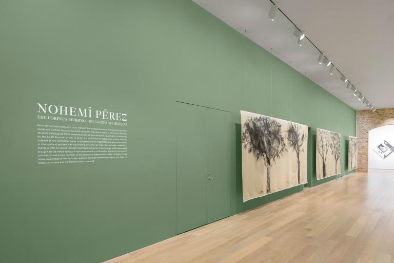 Installation view of Nohemi Perez exhibition