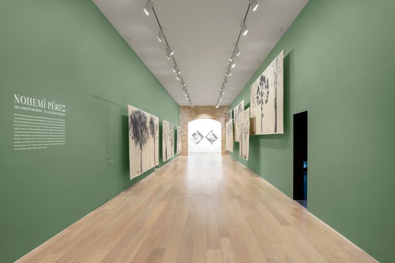 Installation view of Nohemi Perez exhibition