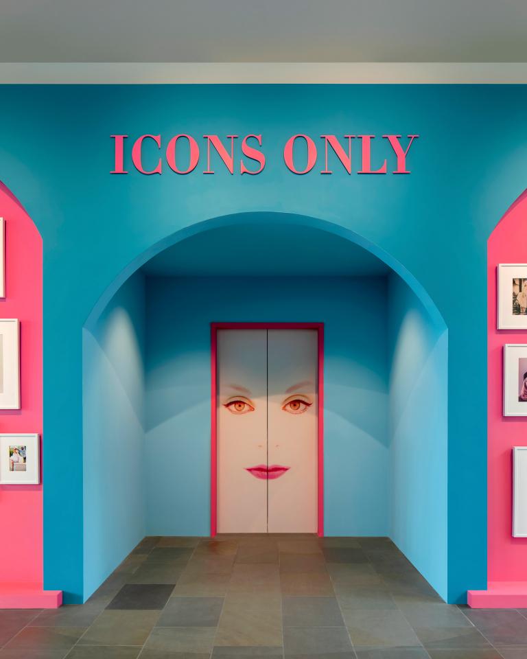 Installation view of Icons Only exhibition
