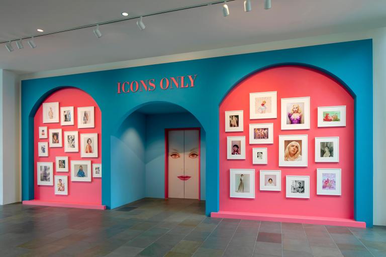 Installation view of Icons Only exhibition