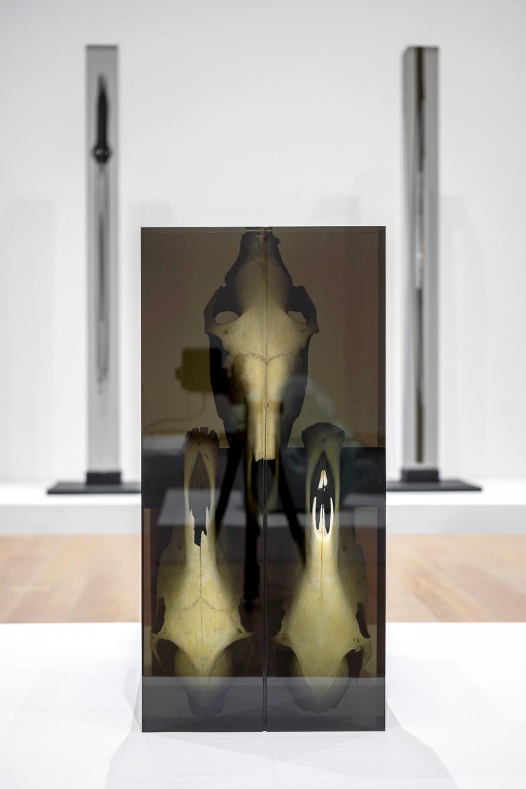 Installation view of Matthew Angelo Harrison exhibition
