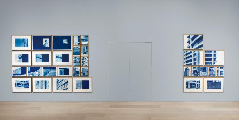 "Studies in Form" installation view