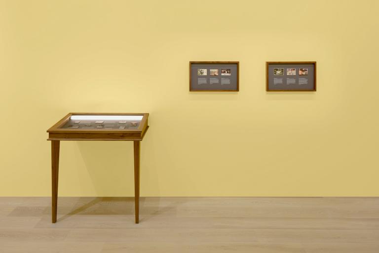 Installation view of Leung Chi Wo + Sara Wong exhibition