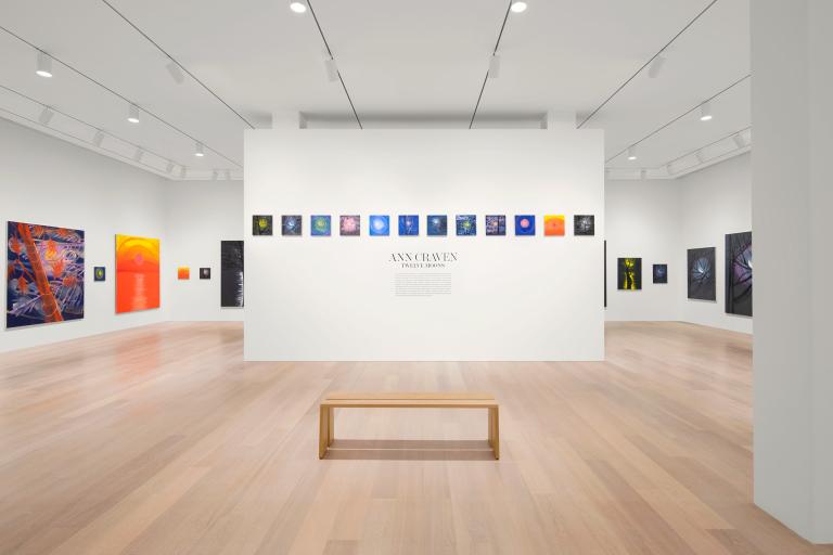 installation view of Ann Craven exhibition