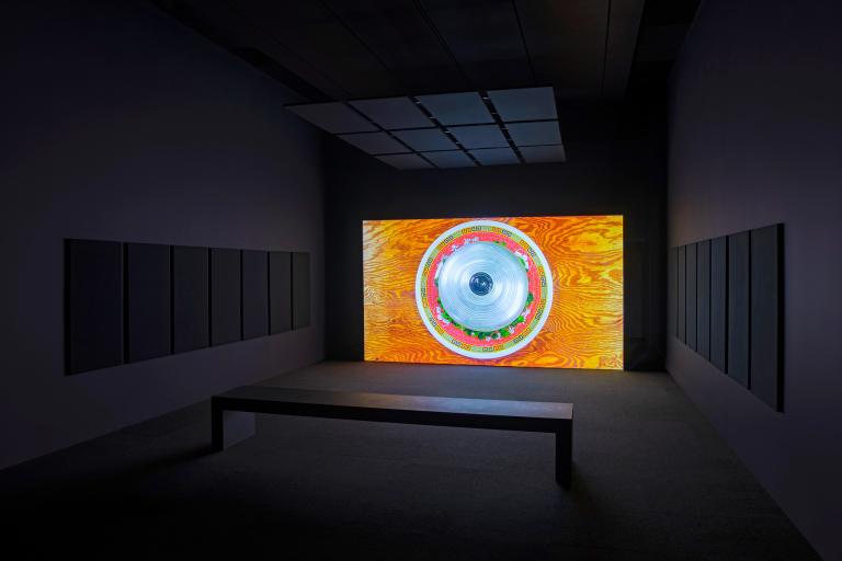 installation view of Mika Rottenberg