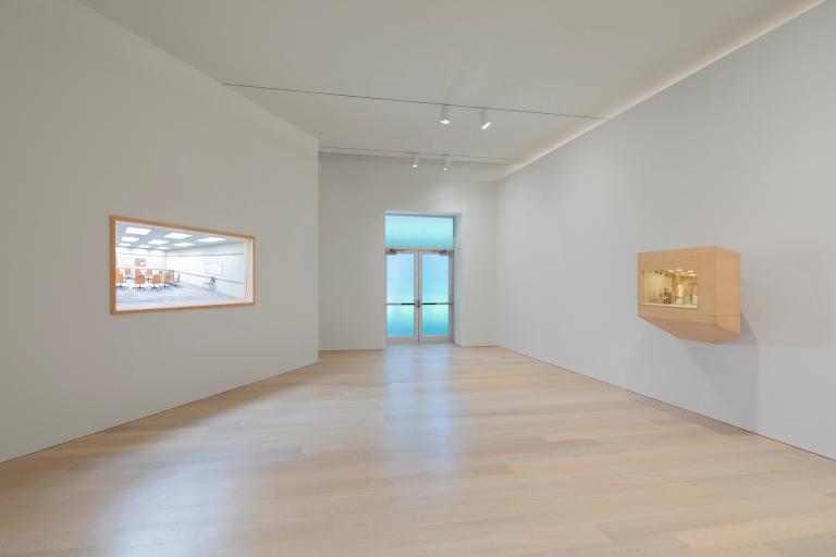 Installation view of Roxy Paine exhibition