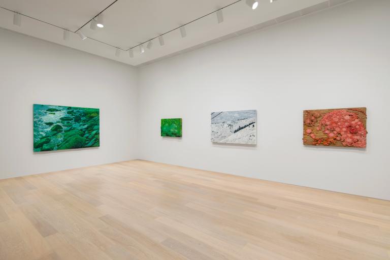 Installation view of Roxy Paine exhibition