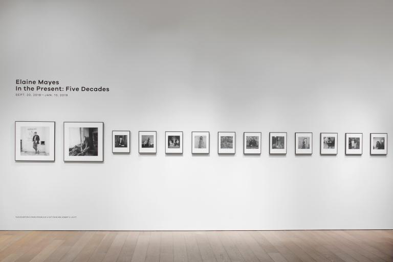 installation view of Elaine Mayes exhibition