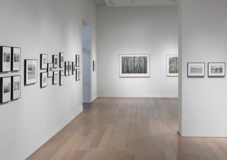 installation view of Elaine Mayes exhibition