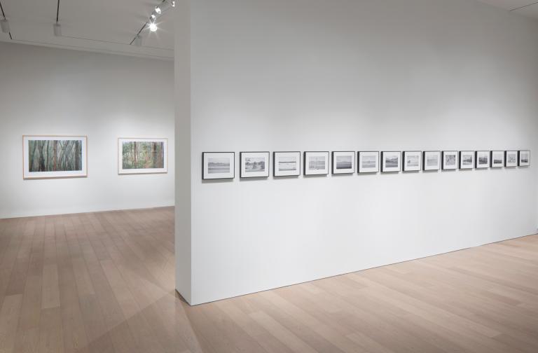 installation view of Elaine Mayes exhibition