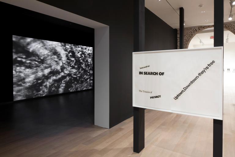 Installation view of Lorraine O'Grady exhibition