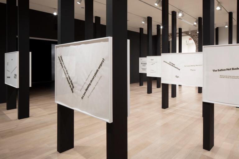 Installation view of Lorraine O'Grady exhibition