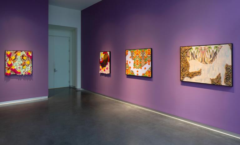 Installation view of Kenzie Adair exhibition