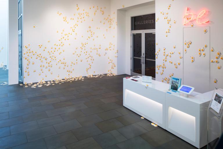 installation view of Christopher Chiappa exhibition