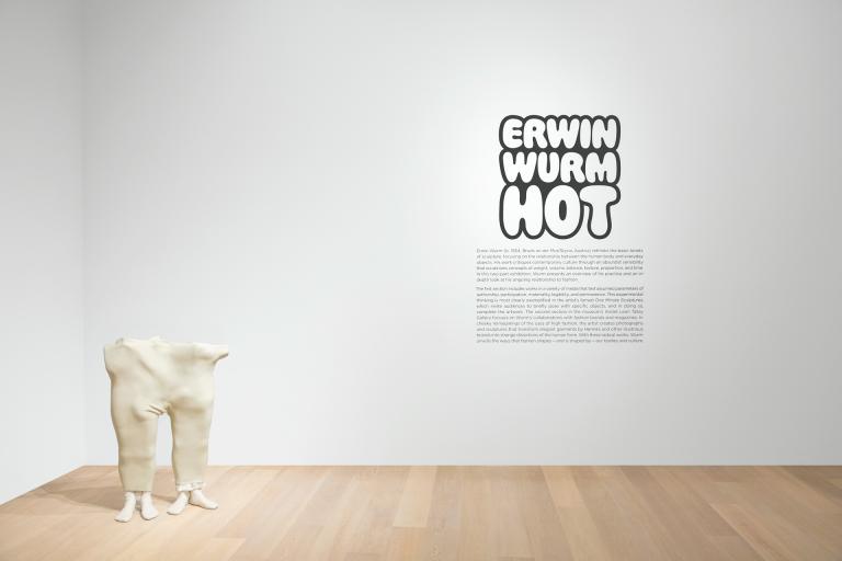 installation view of Erin Wurm exhibition