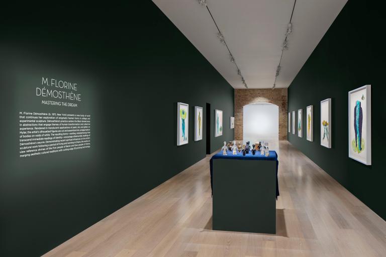 installation view of Mastering the Dream exhibition