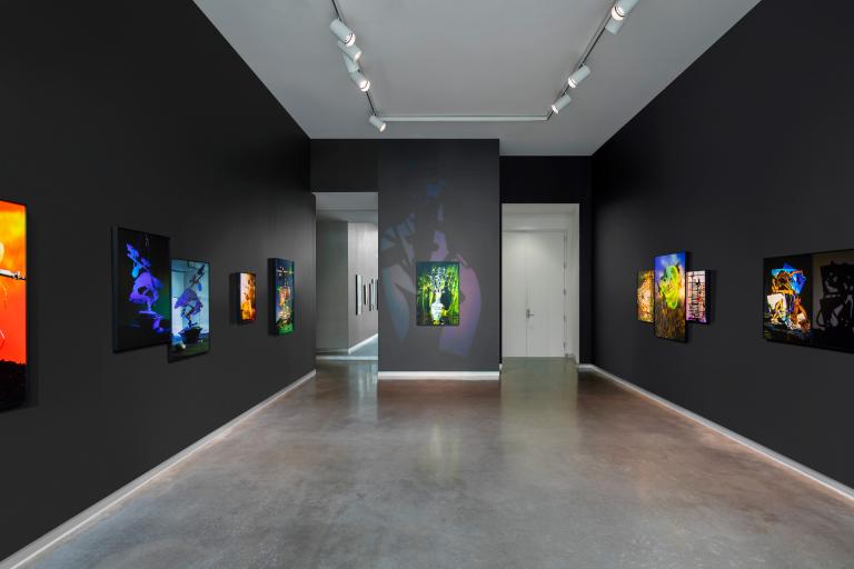 Installation view of Xiwen Zhu exhibition