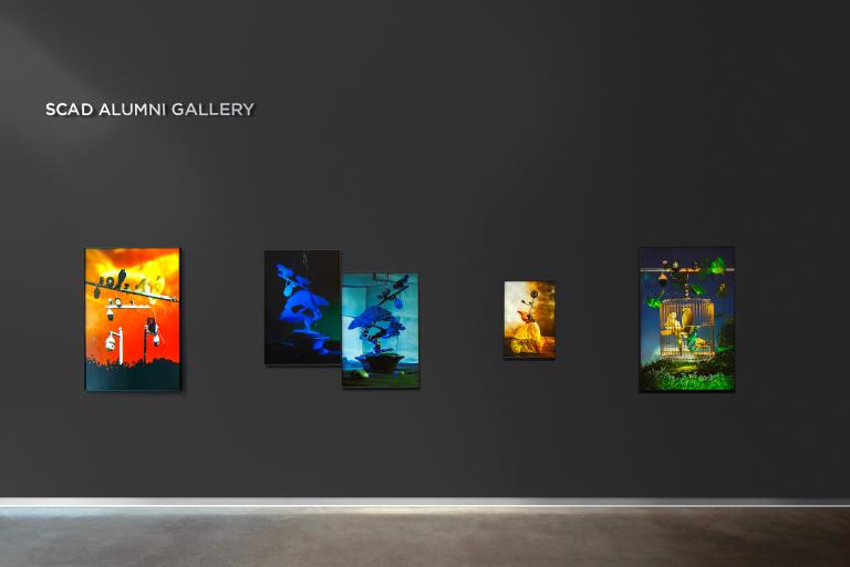 Installation view of Xiwen Zhu exhibition