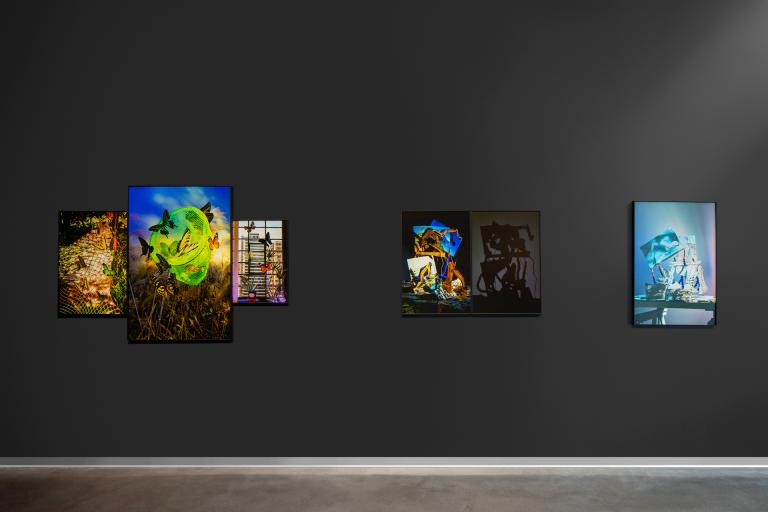 Installation view of Xiwen Zhu exhibition