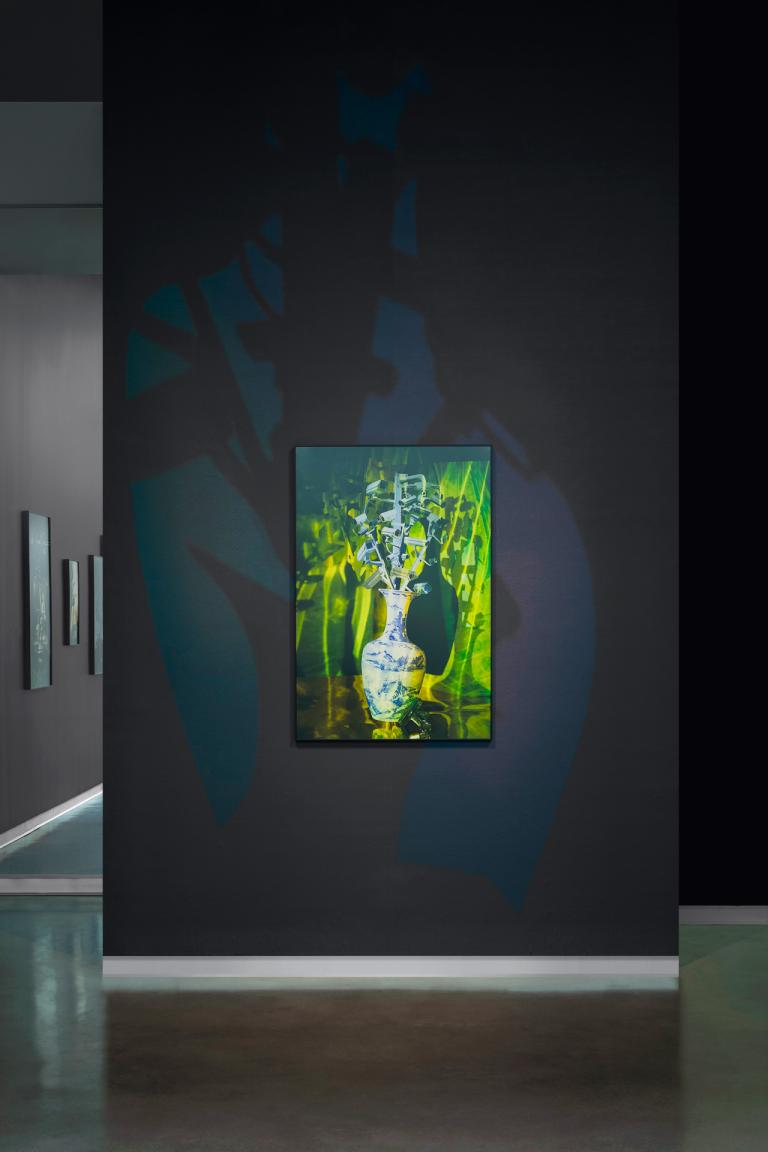 Installation view of Xiwen Zhu exhibition