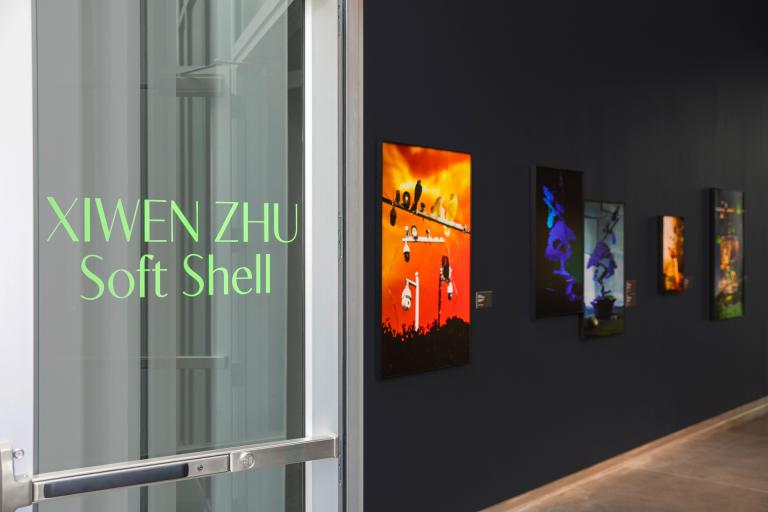 Installation view of Xiwen Zhu exhibition